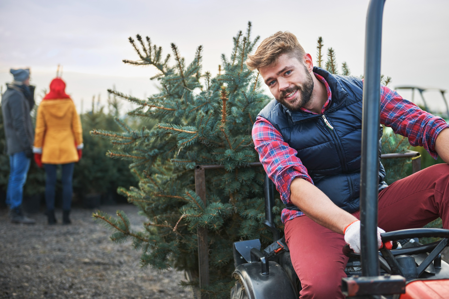 Виза сезонного работника в Великобритании: руководство 2025 года