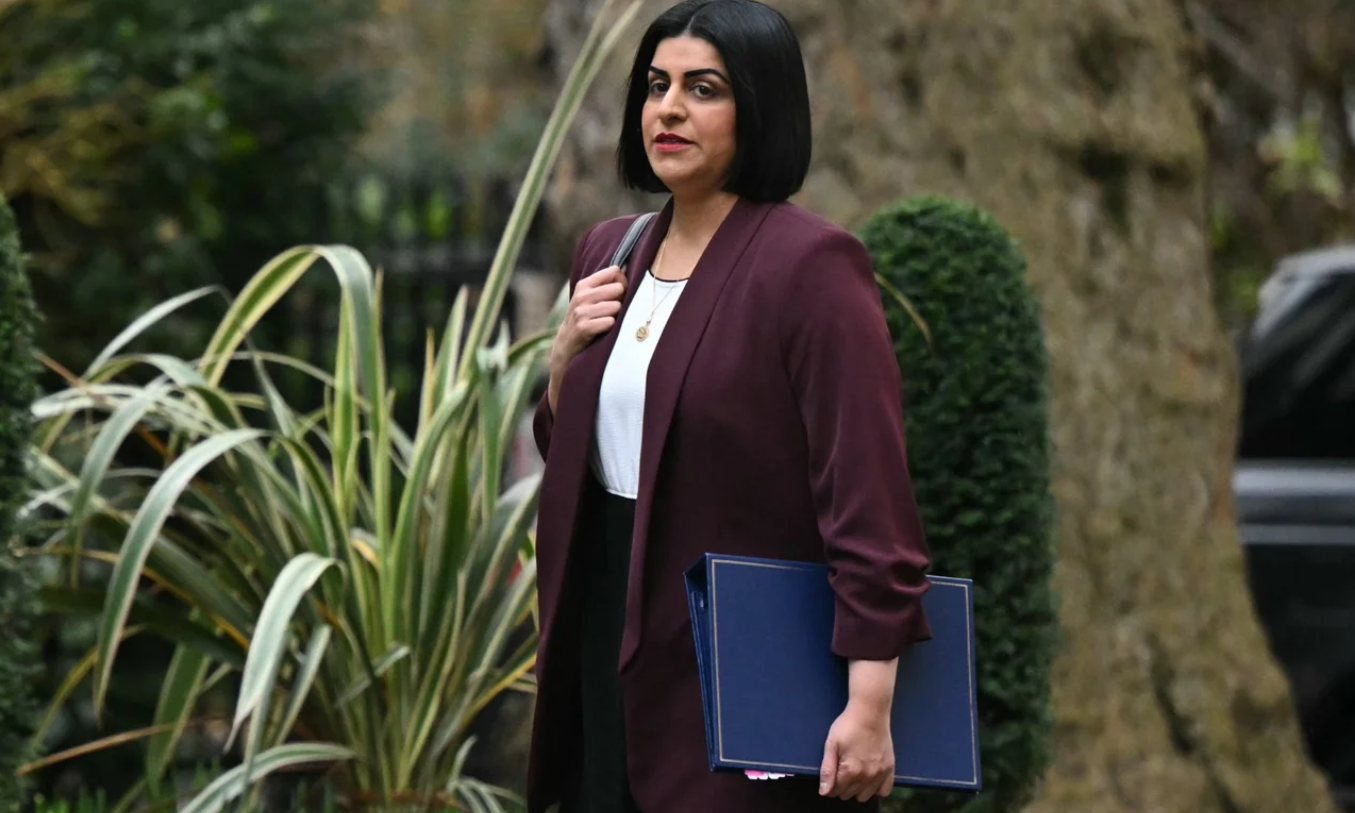 Инфографика, показывающая добровольное возвращение мигрантов и влияние выплат на расходы государства в Великобритании