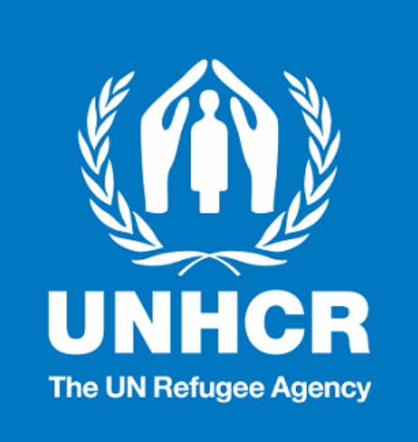 Аудит UNHCR выявил проблемы с интервью по убежищу в Home Office и призвал к реформам